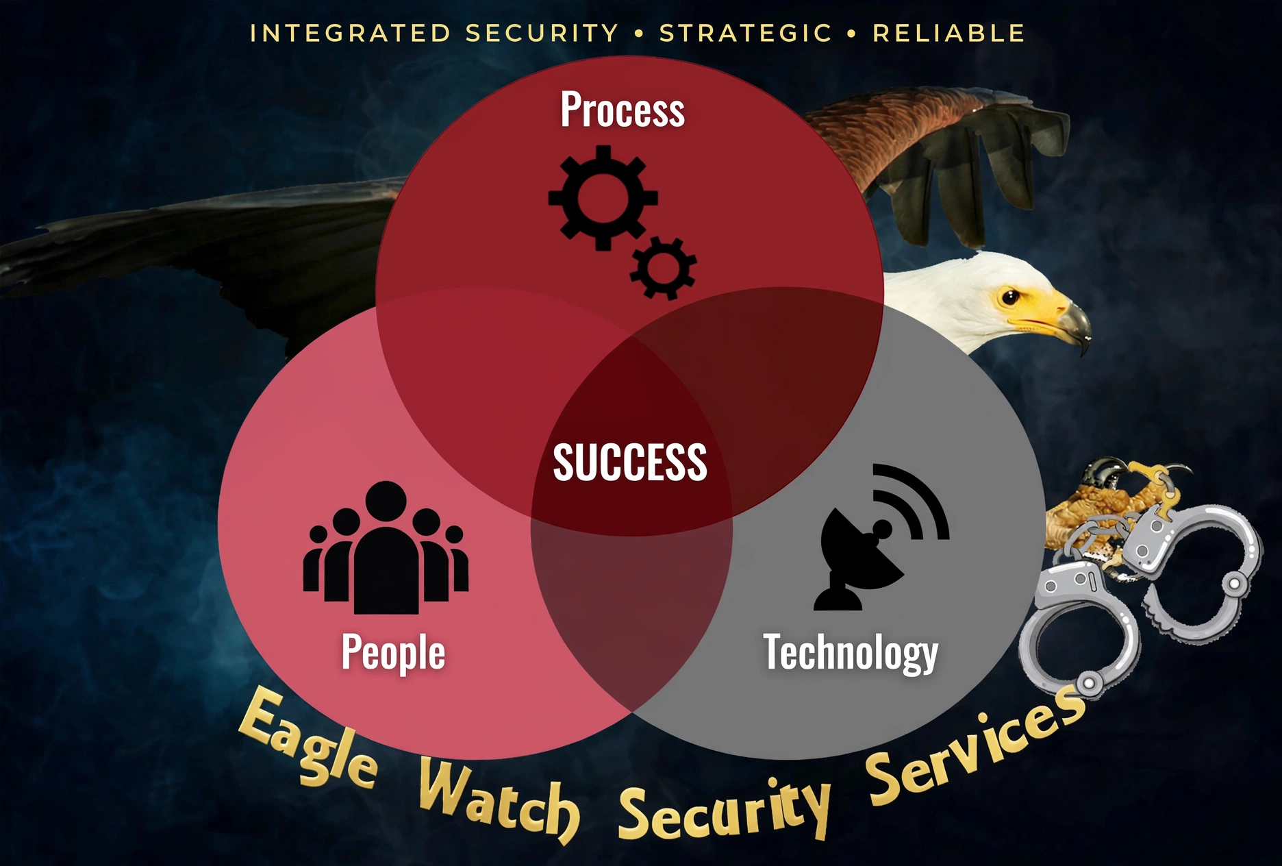 Eagle Watch values Venn diagram